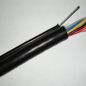 ɽ�|ʡ��(y��u)�|(zh��)늾���|���a(ch��n)���������̩